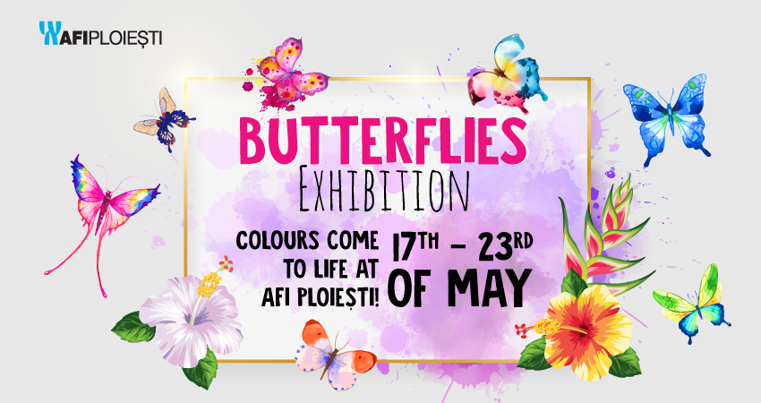 Butterflies Exhibition